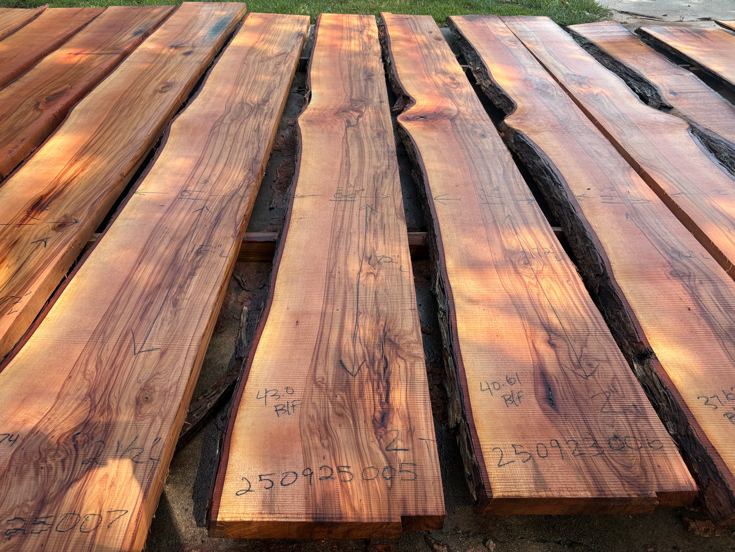 Pecan Wood Slab 250923005