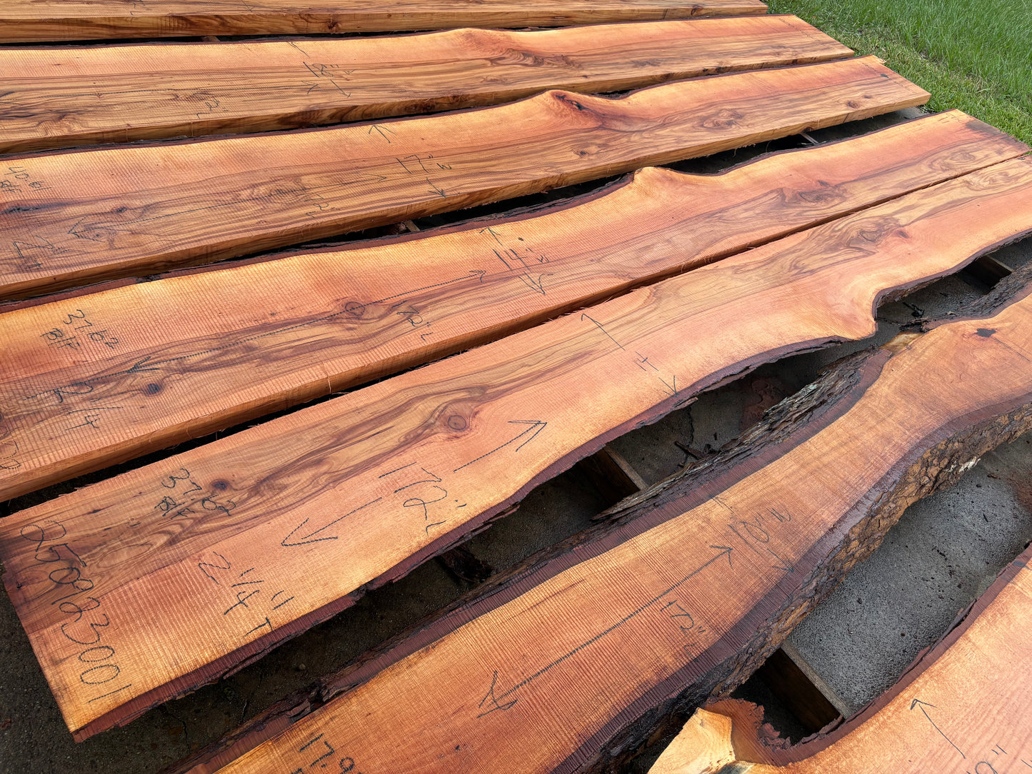 Pecan Wood Slab 250923001