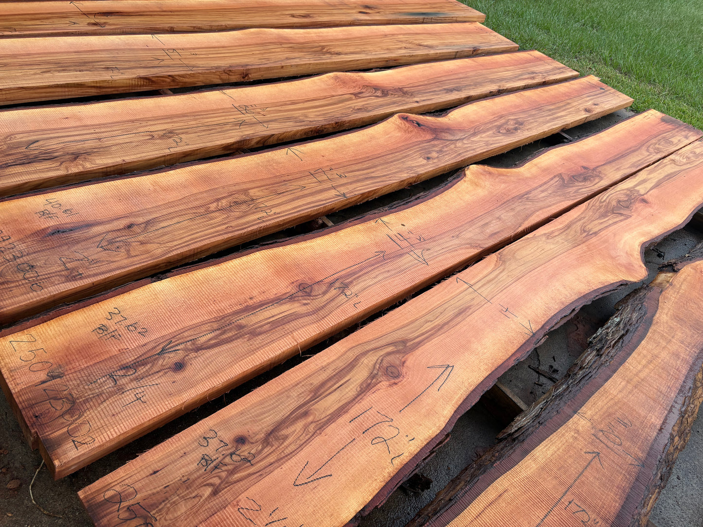 Pecan Wood Slab 250923002