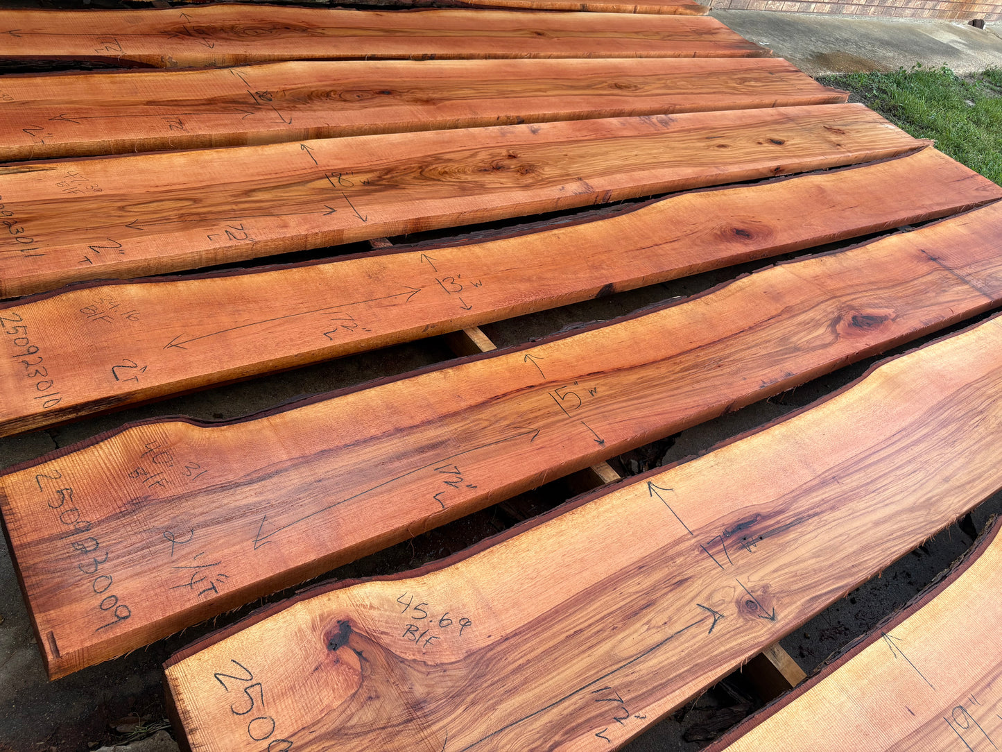 Pecan Wood Slab 250923009