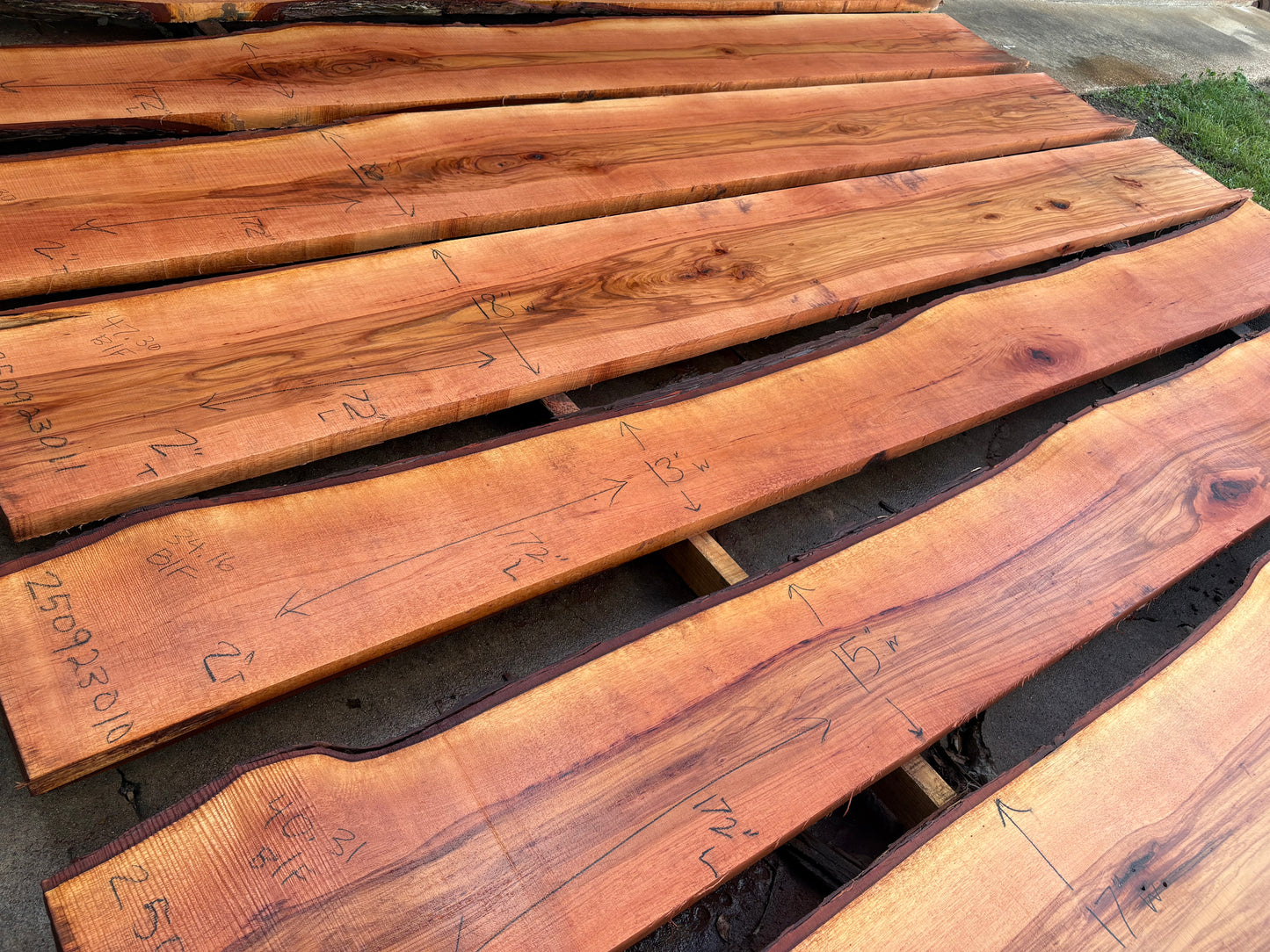 Pecan Wood Slab 250923010