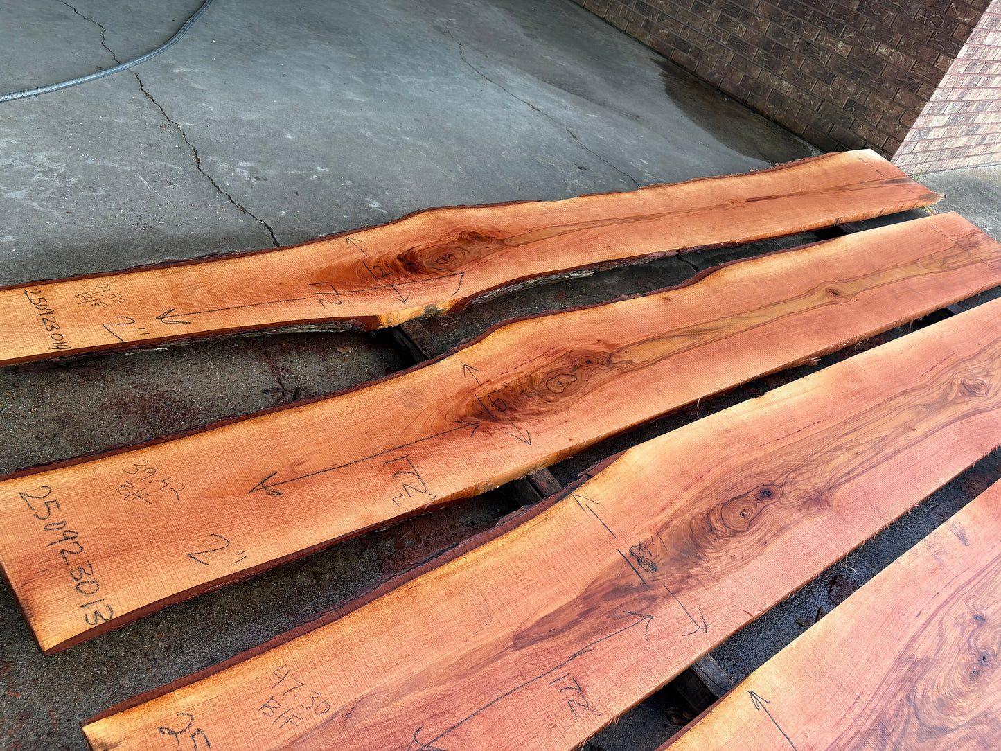 Pecan Wood Slab 250923013