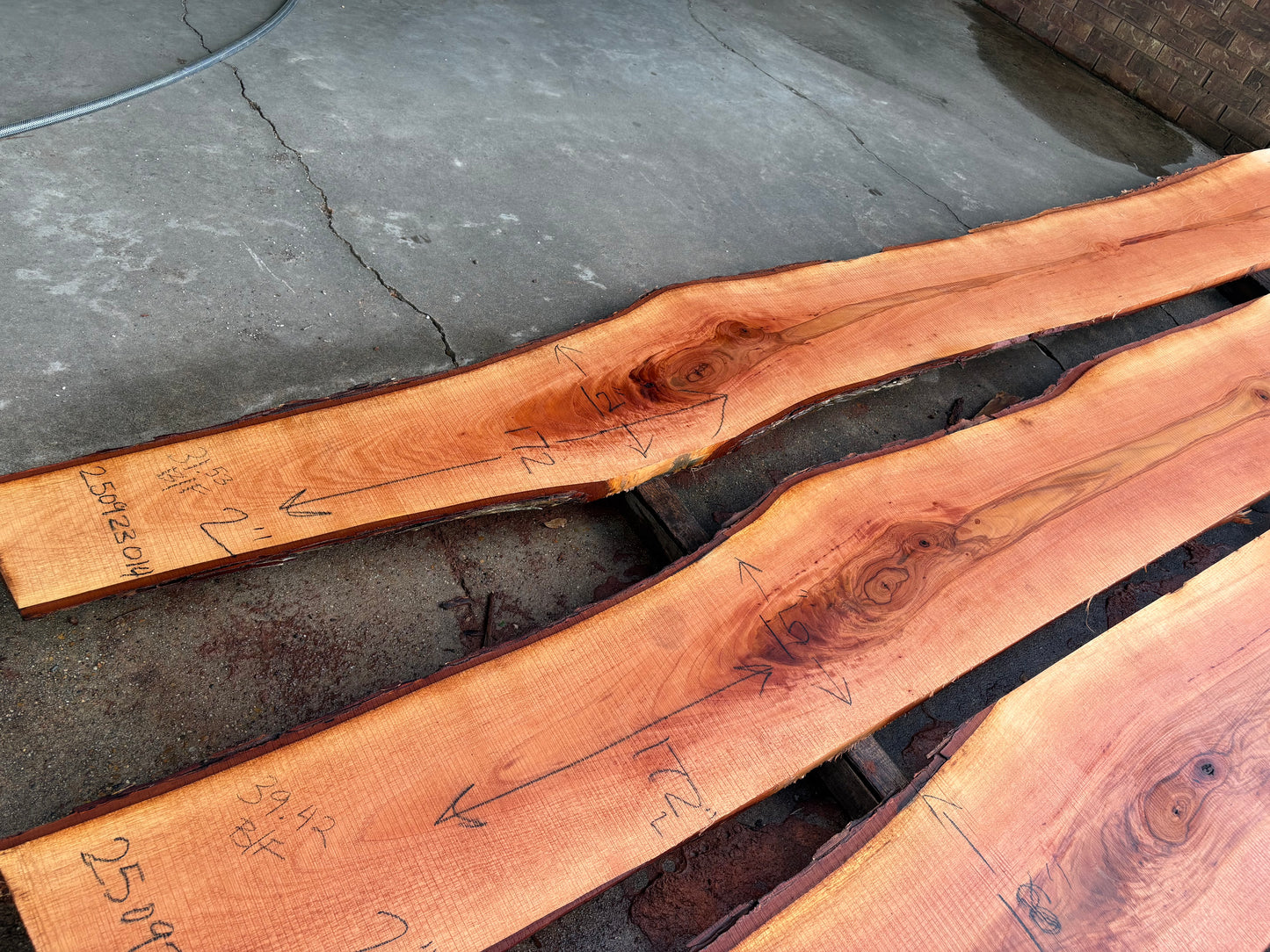 Pecan Wood Slab 250923014