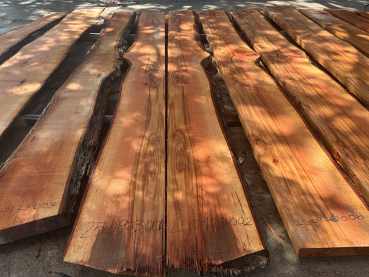 Pecan Wood Slab 250923001