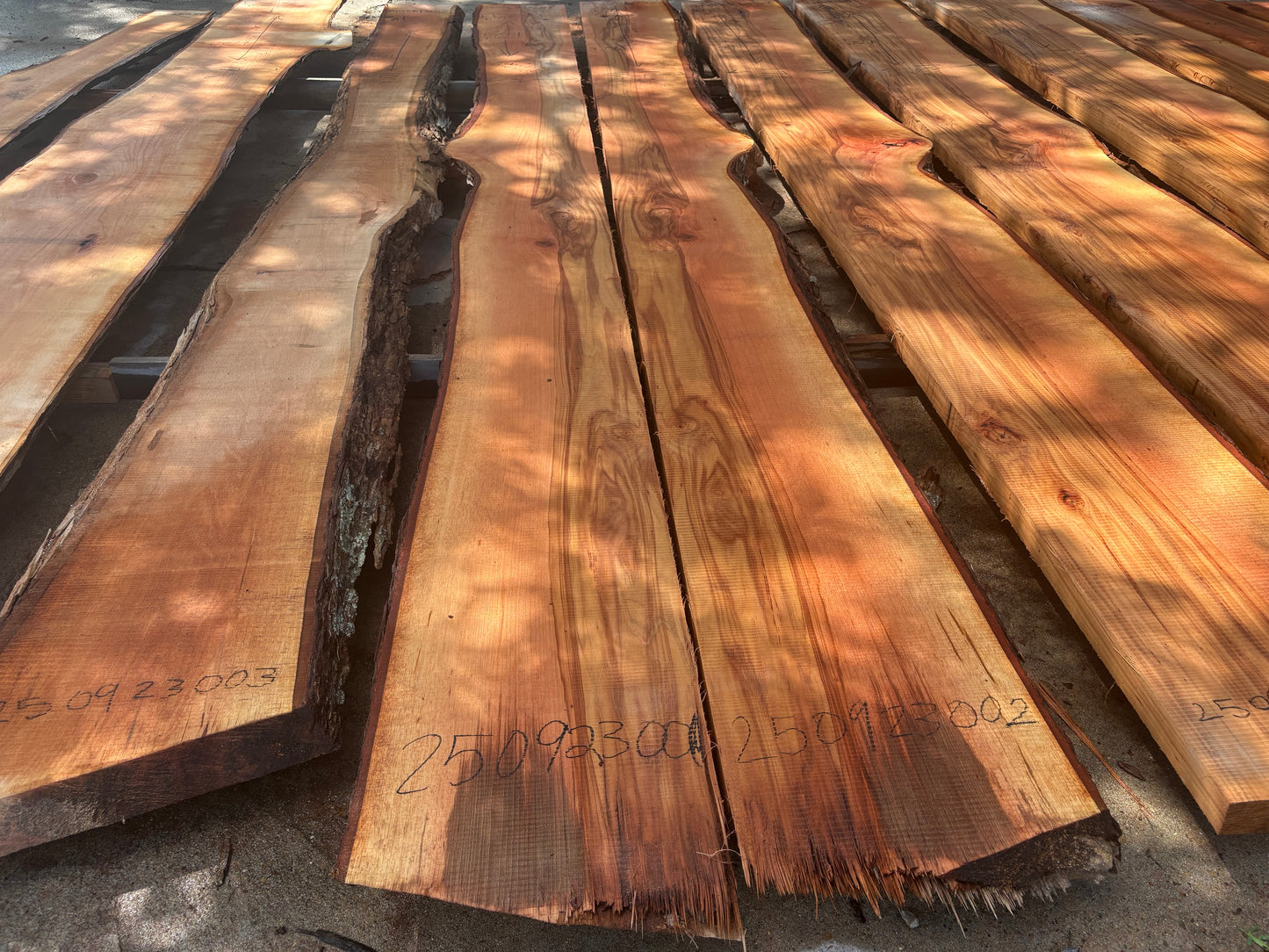 Pecan Wood Slab 250923002
