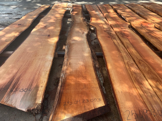 Pecan Wood Slab 250923003