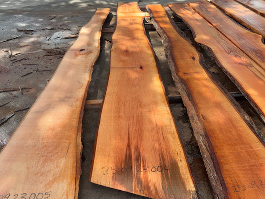 Pecan Wood Slab 250923004