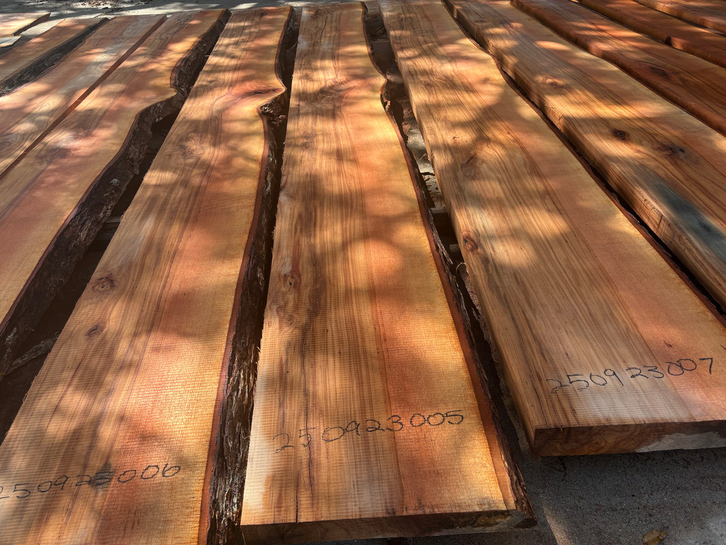 Pecan Wood Slab 250923005