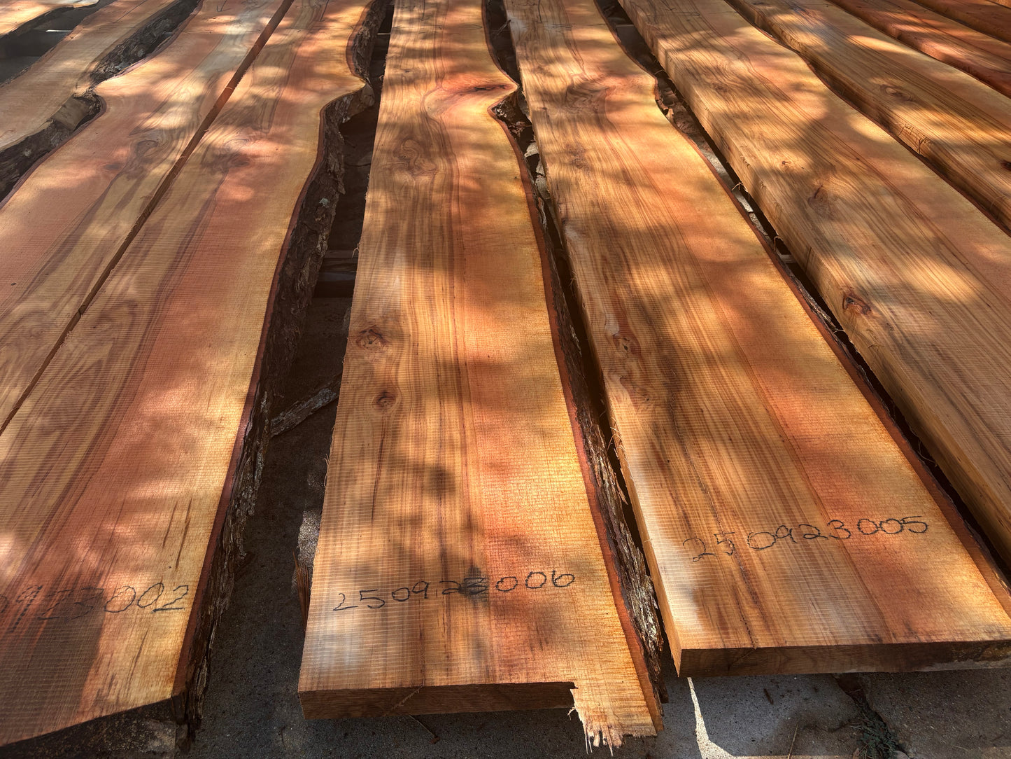 Pecan Wood Slab 250923006