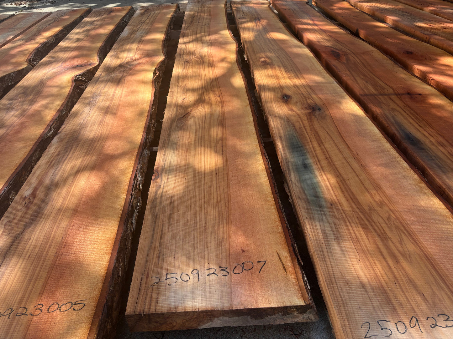 Pecan Wood Slab 250923007