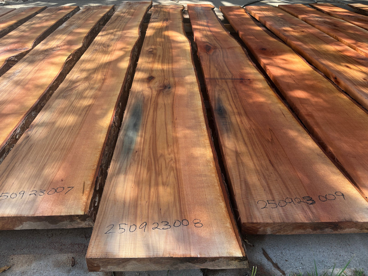 Pecan Wood Slab250923008