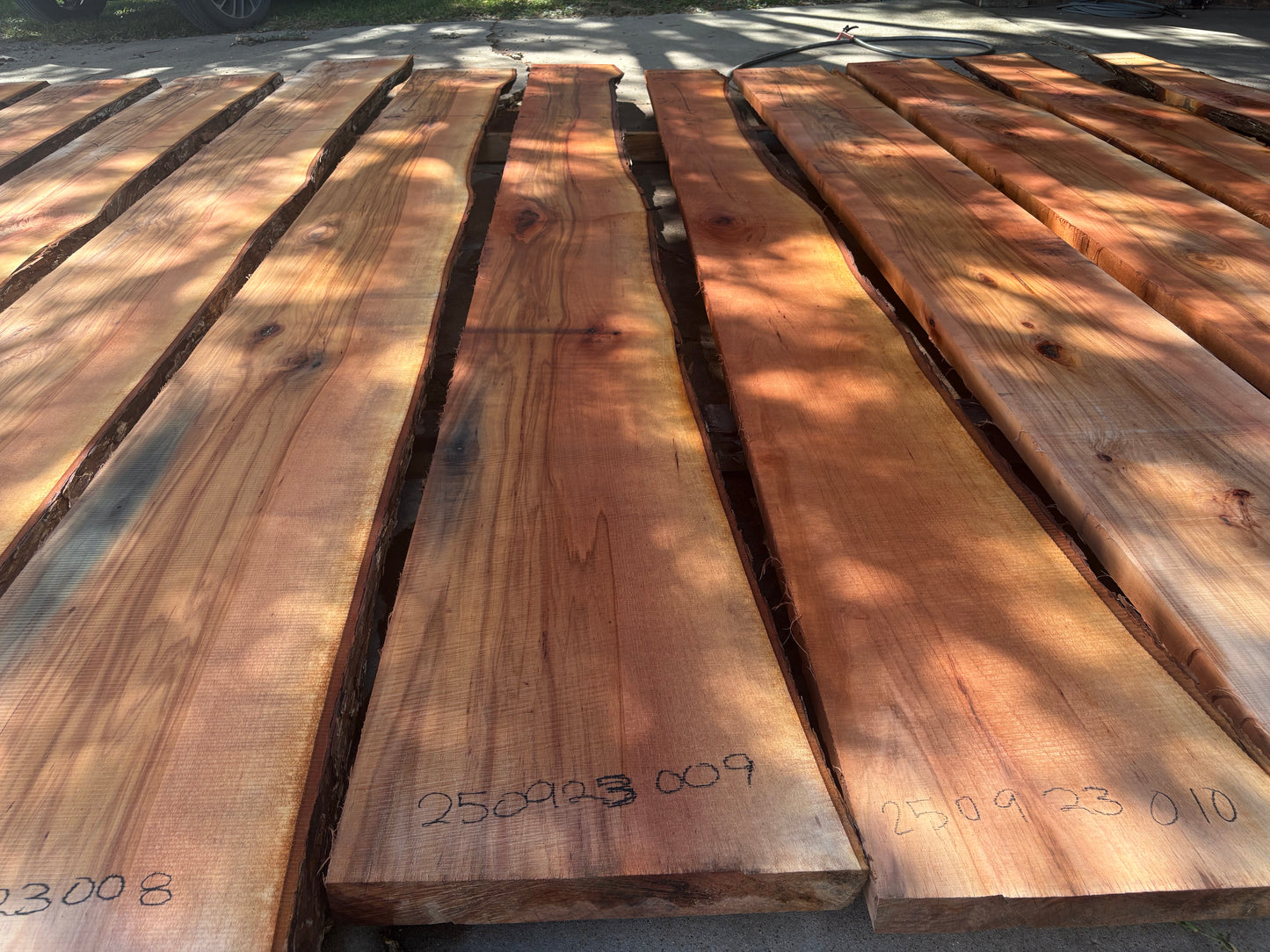 Pecan Wood Slab 250923009