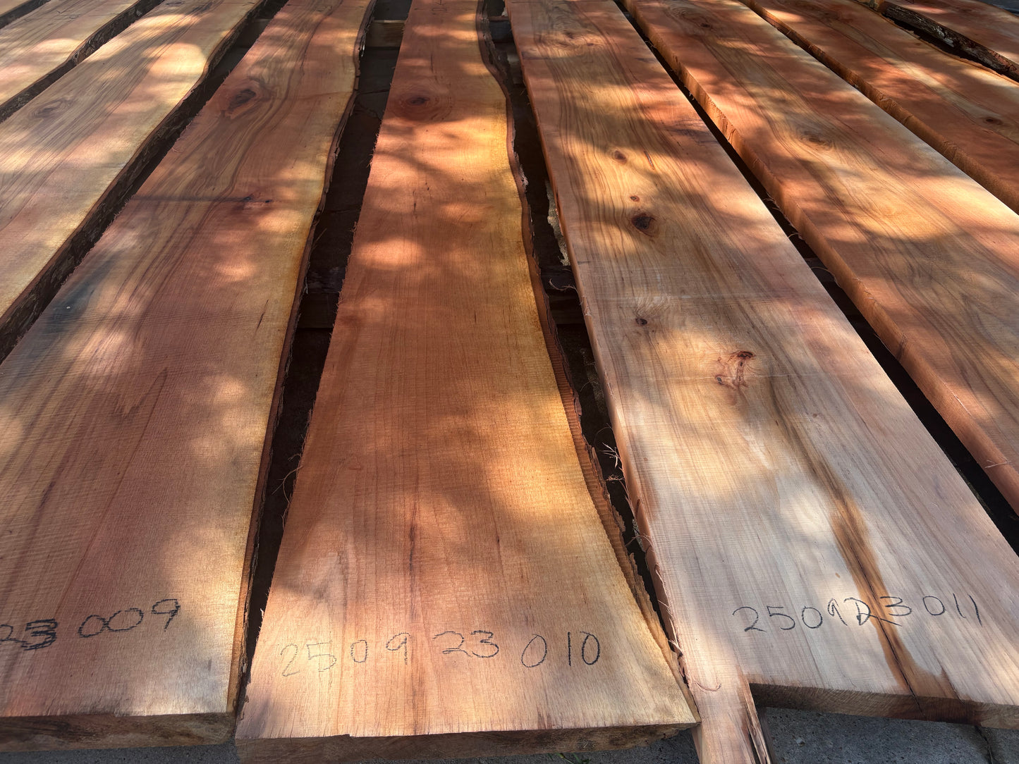 Pecan Wood Slab 250923010
