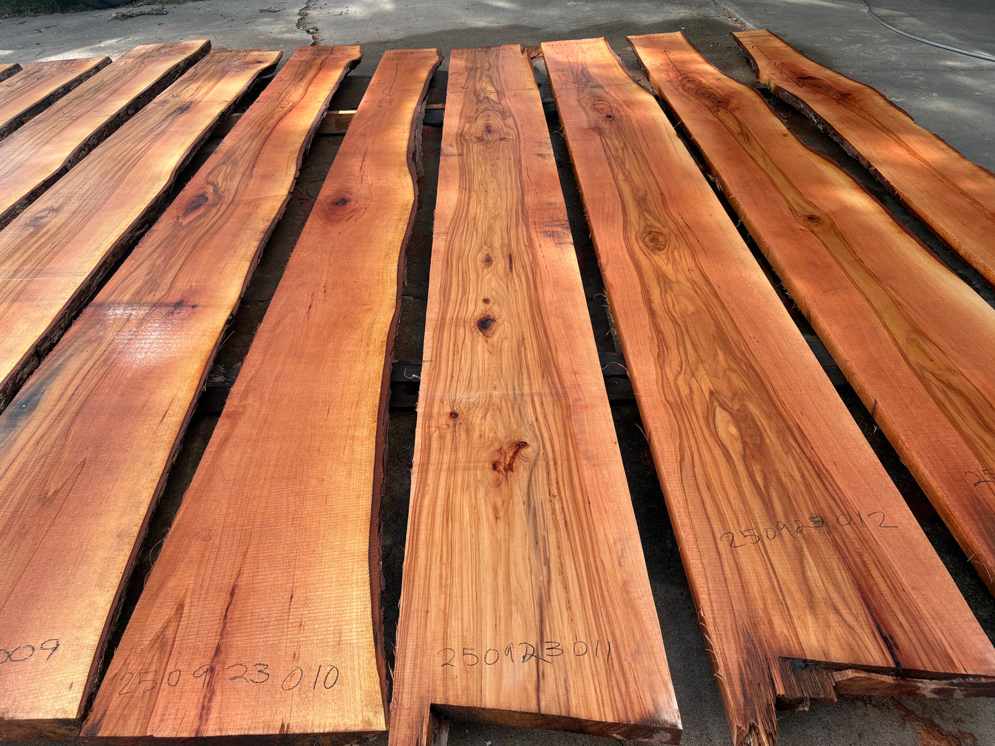 Pecan Wood Slab 250923011