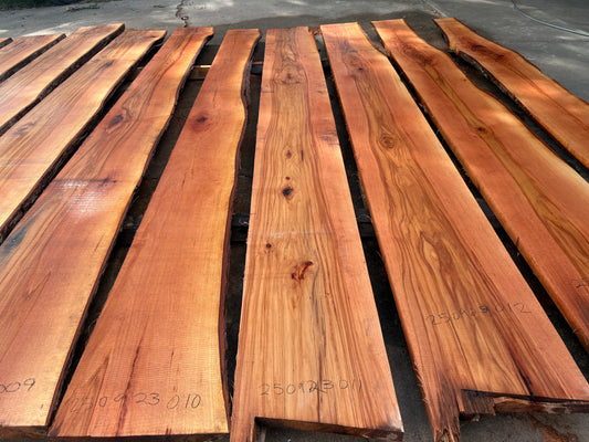 Pecan Wood Slab 250923011