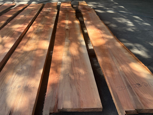 Pecan Wood Slab 250923013