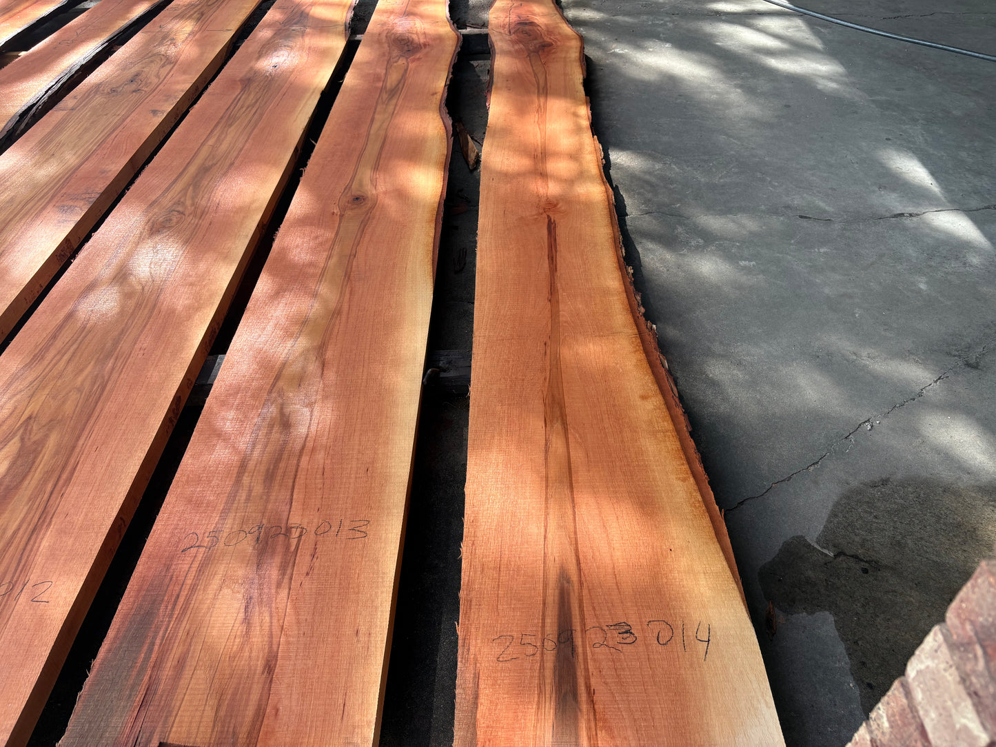Pecan Wood Slab 250923014