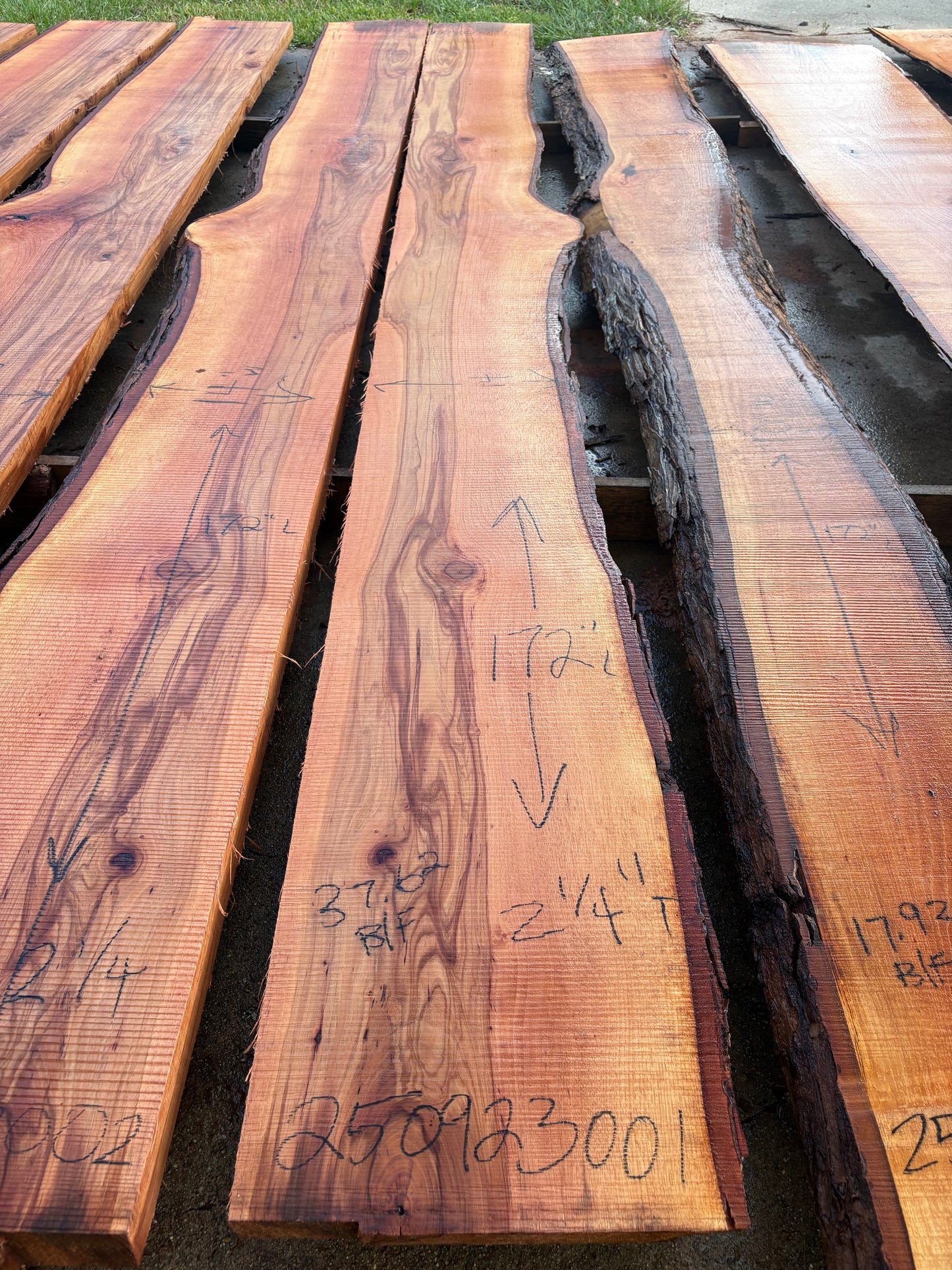 Pecan Wood Slab 250923001