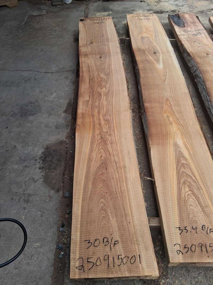 Cypress Wood Slab 250915001