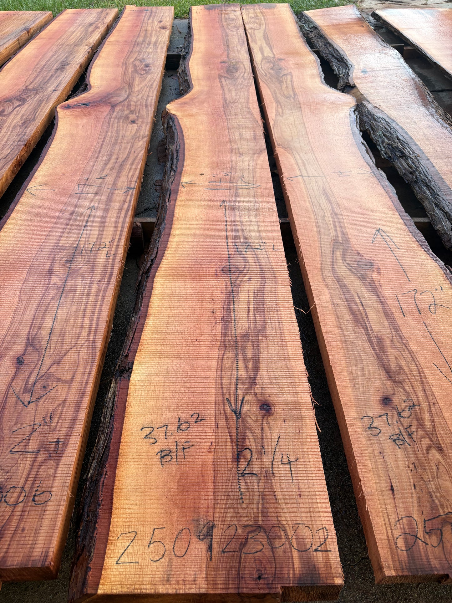 Pecan Wood Slab 250923002