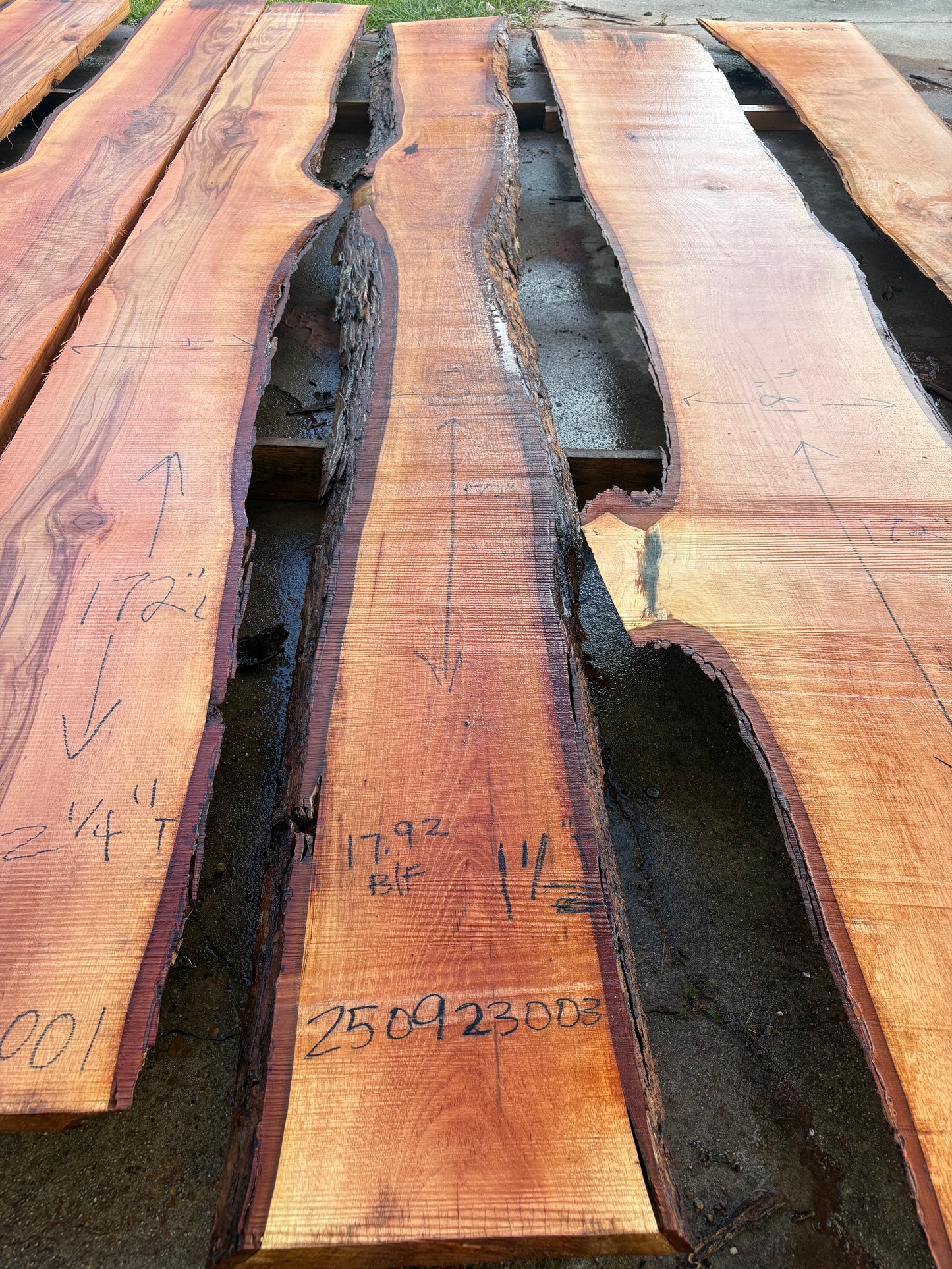 Pecan Wood Slab 250923003