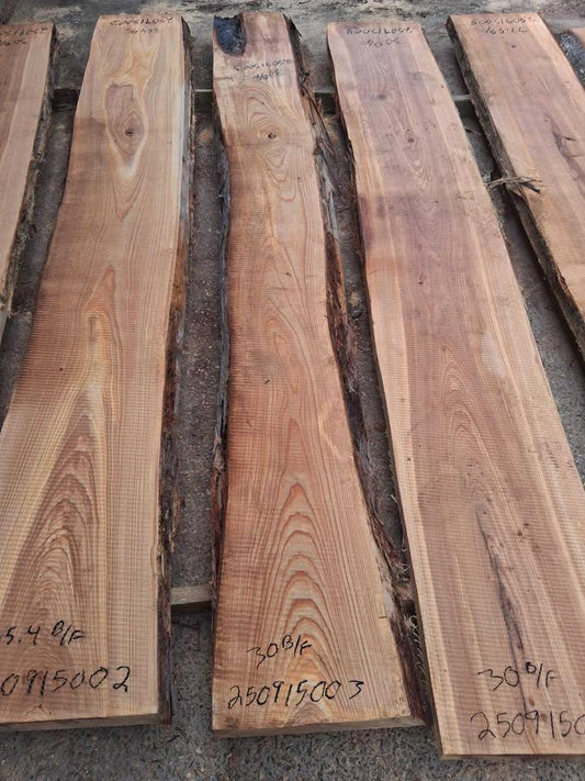 Cypress Wood Slab 250915003