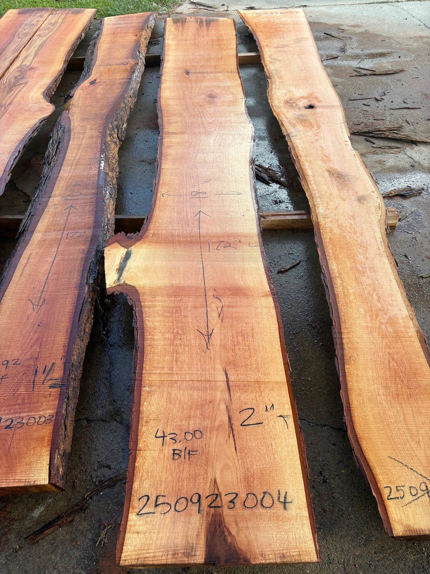 Pecan Wood Slab 250923004