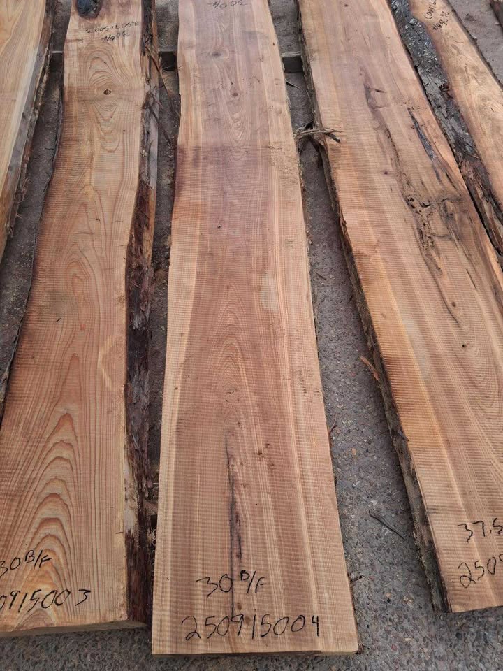 Cypress Wood Slab 250915004