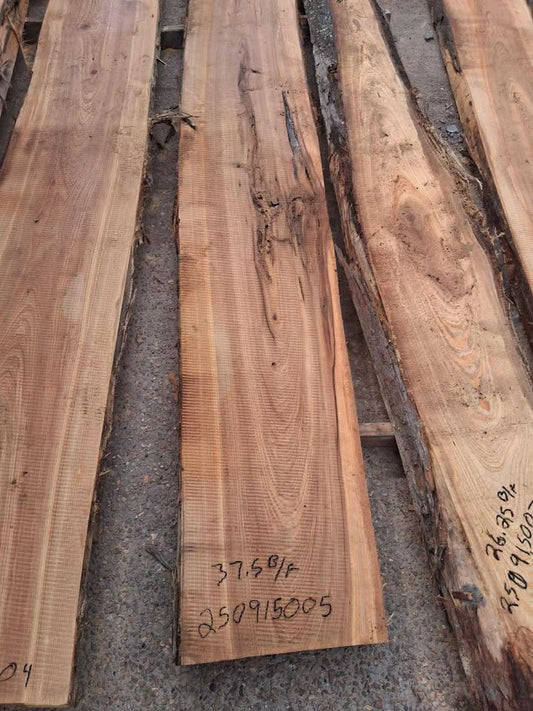 Cypress Wood Slab 250915005