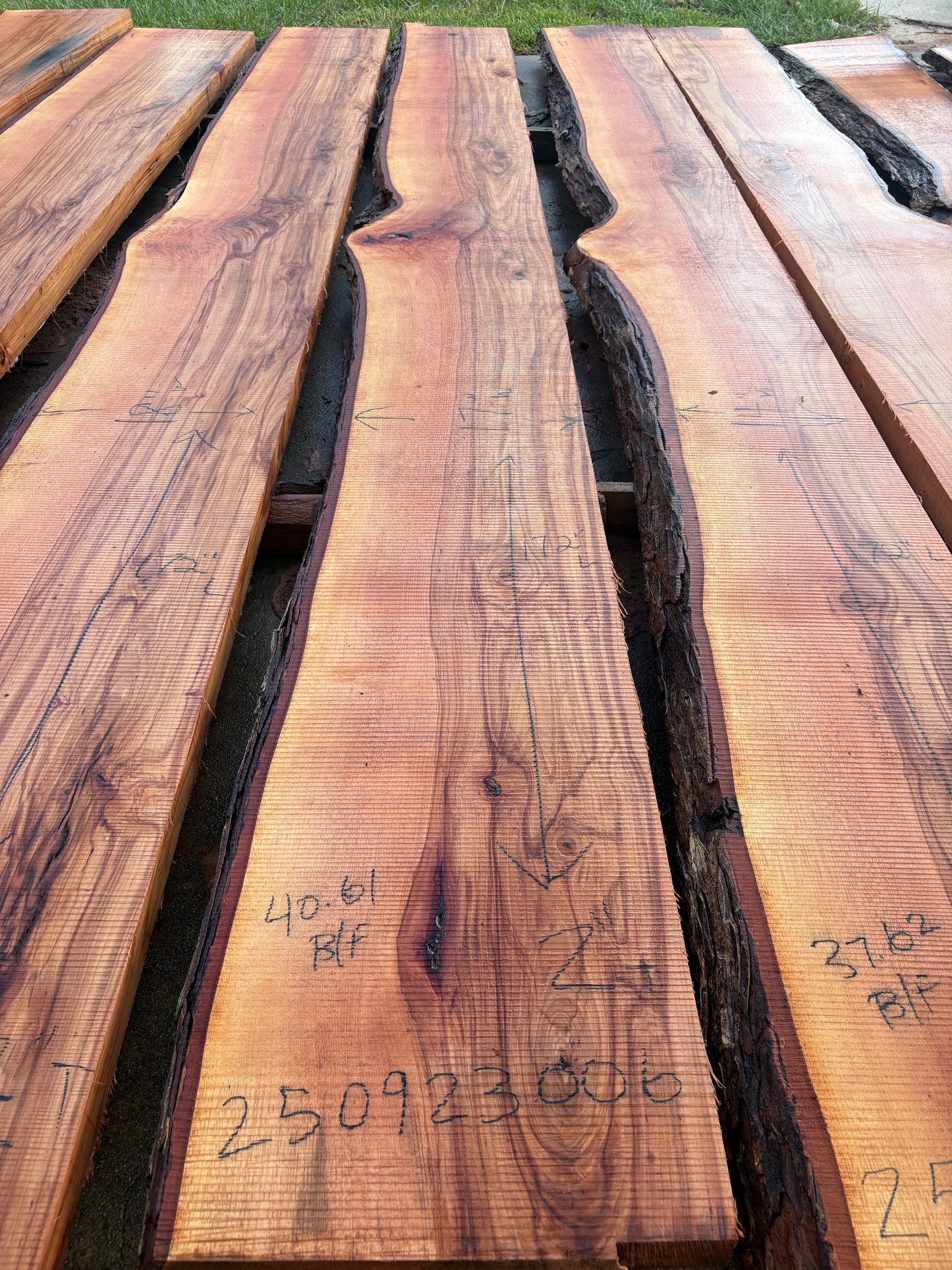 Pecan Wood Slab 250923006