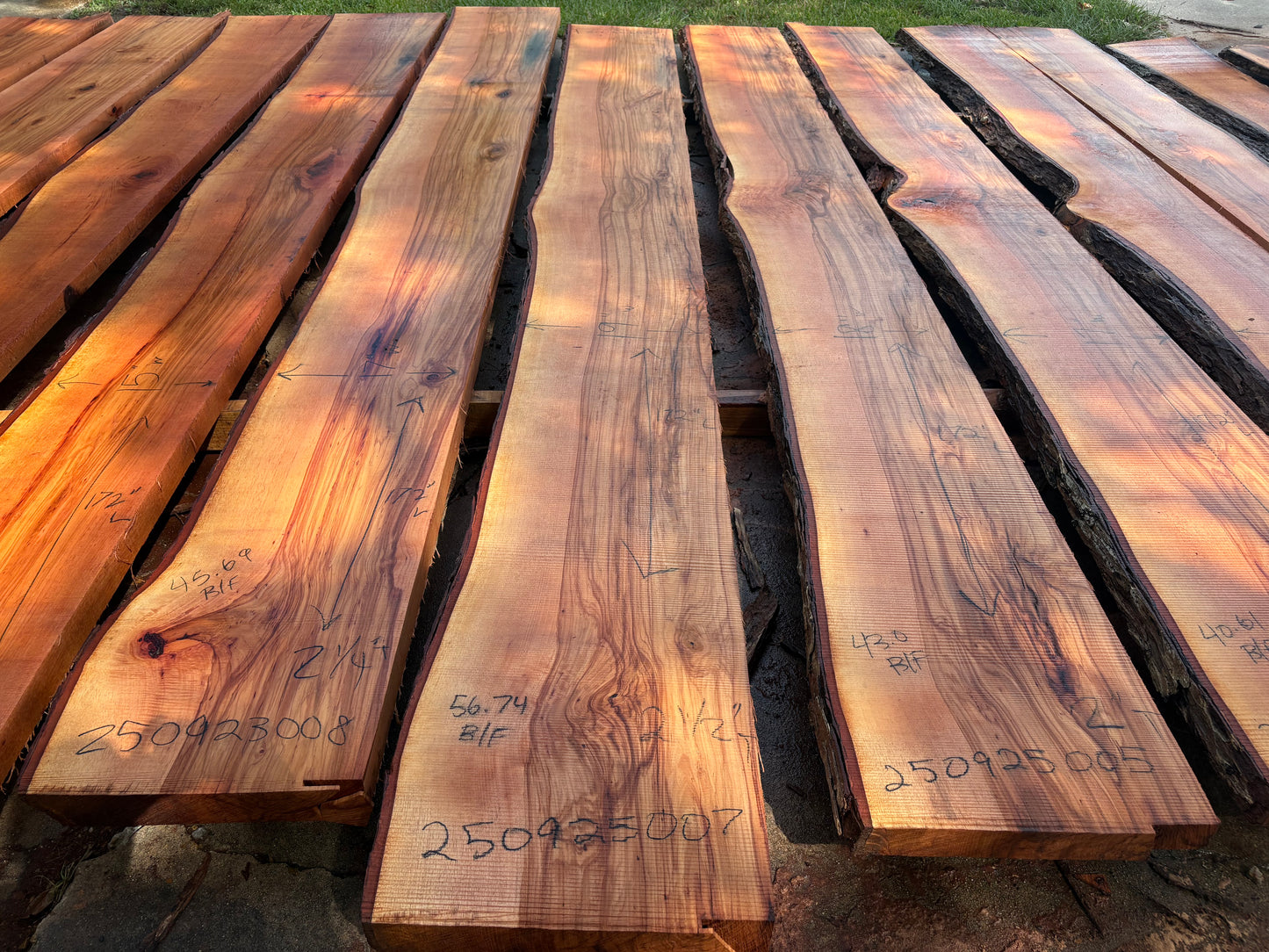 Pecan Wood Slab 250923007