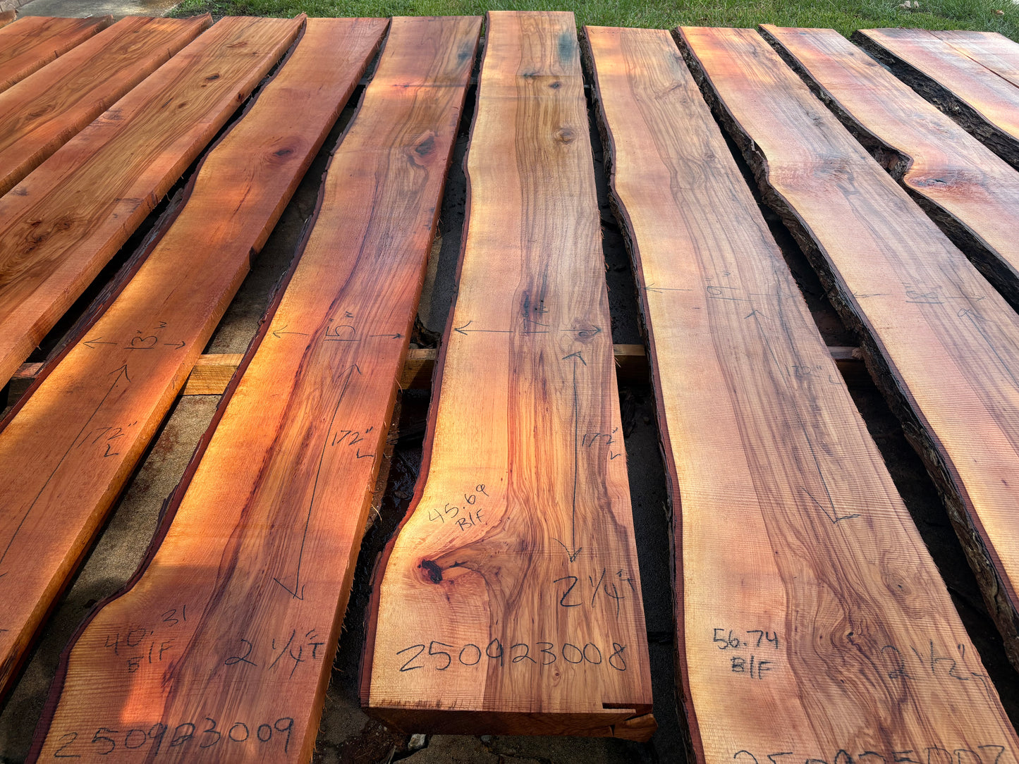 Pecan Wood Slab250923008