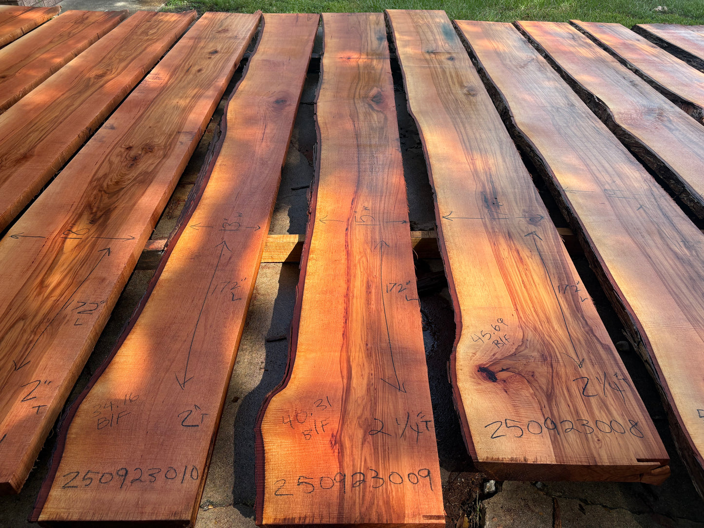 Pecan Wood Slab 250923009