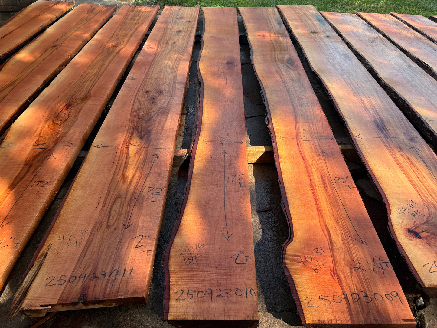 Pecan Wood Slab 250923010