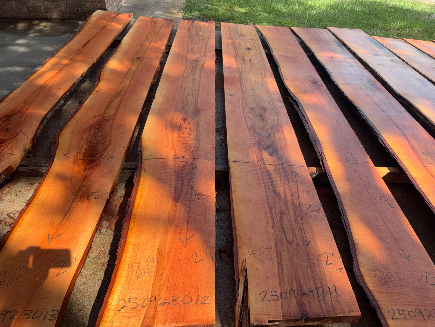 Pecan Wood Slab 250923011