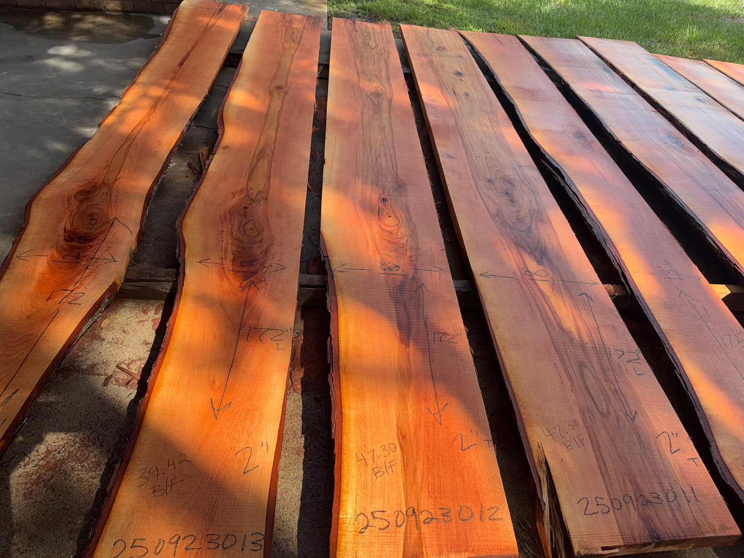 Pecan Wood Slab 250923012