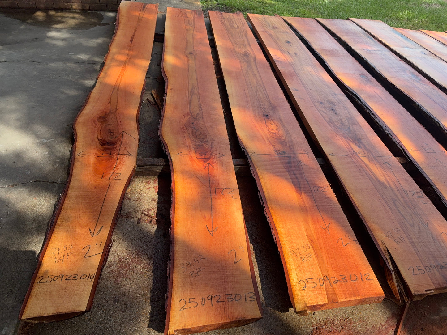 Pecan Wood Slab 250923013