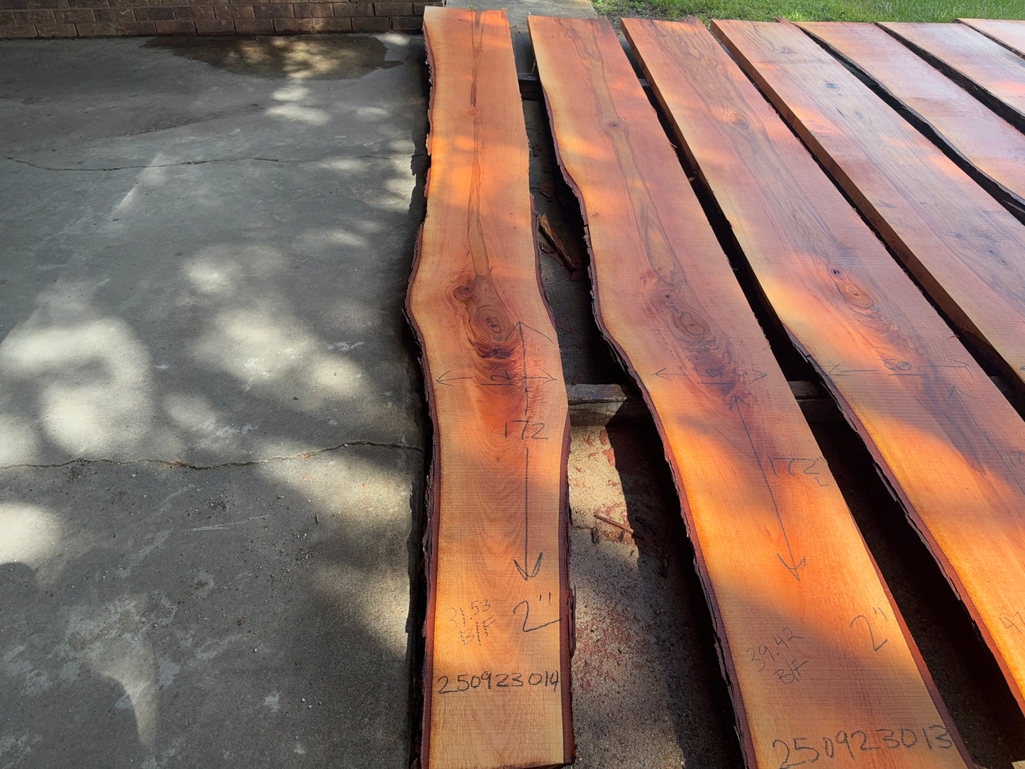 Pecan Wood Slab 250923014