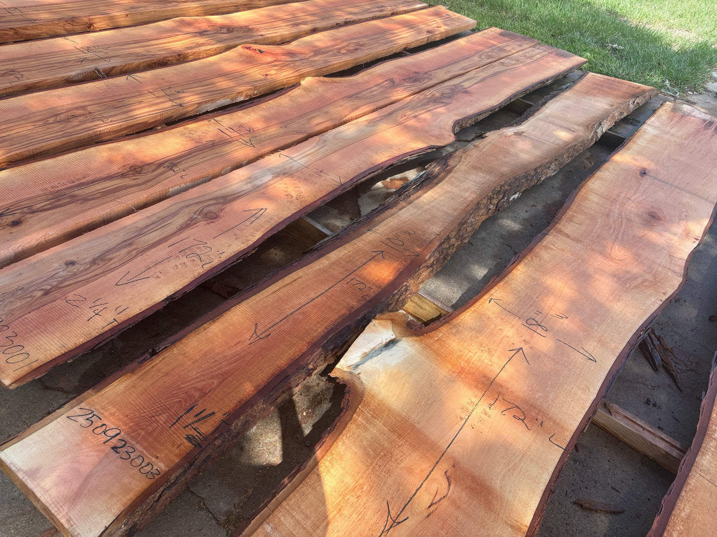 Pecan Wood Slab 250923003
