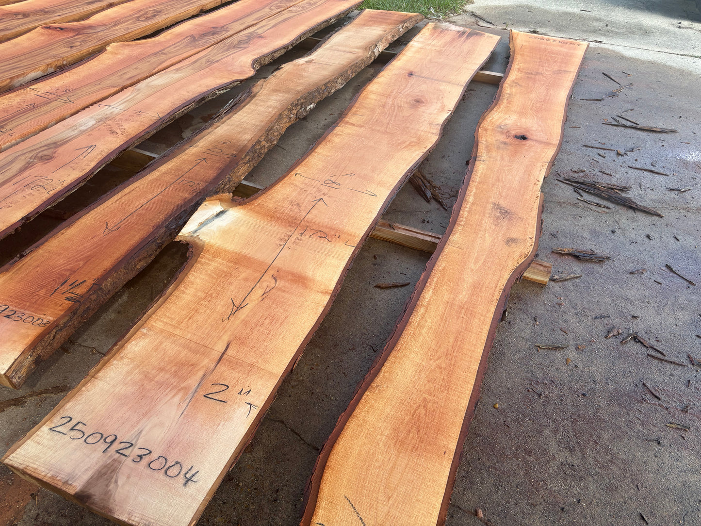 Pecan Wood Slab 250923004