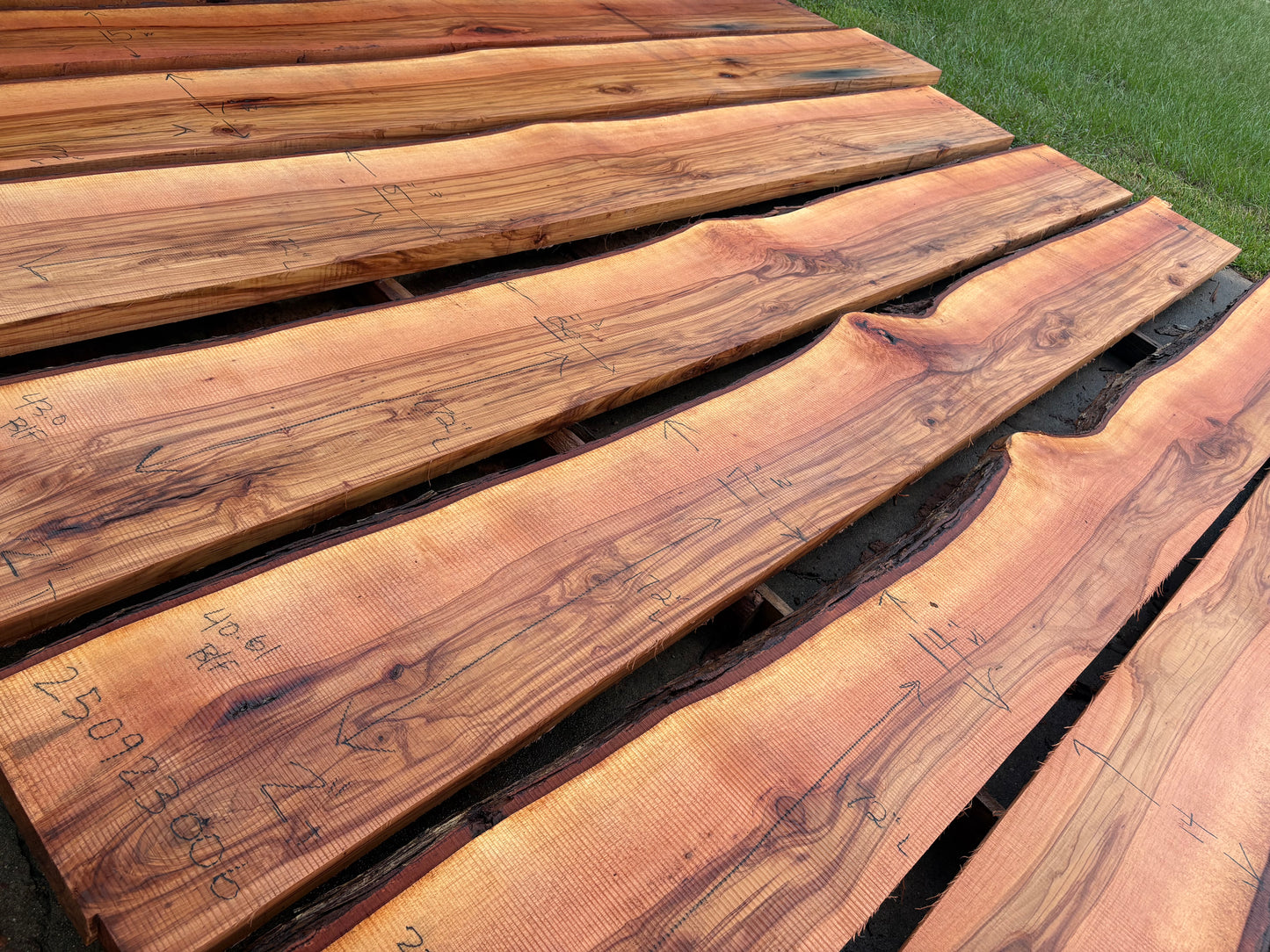 Pecan Wood Slab 250923006