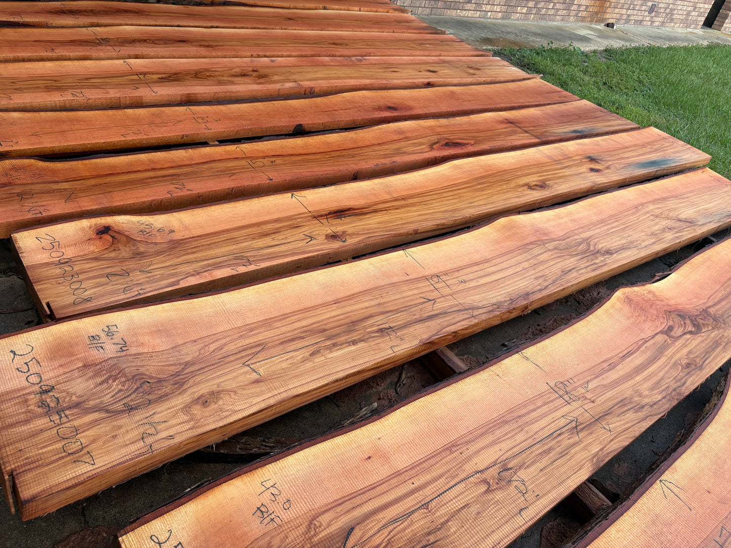 Pecan Wood Slab 250923007