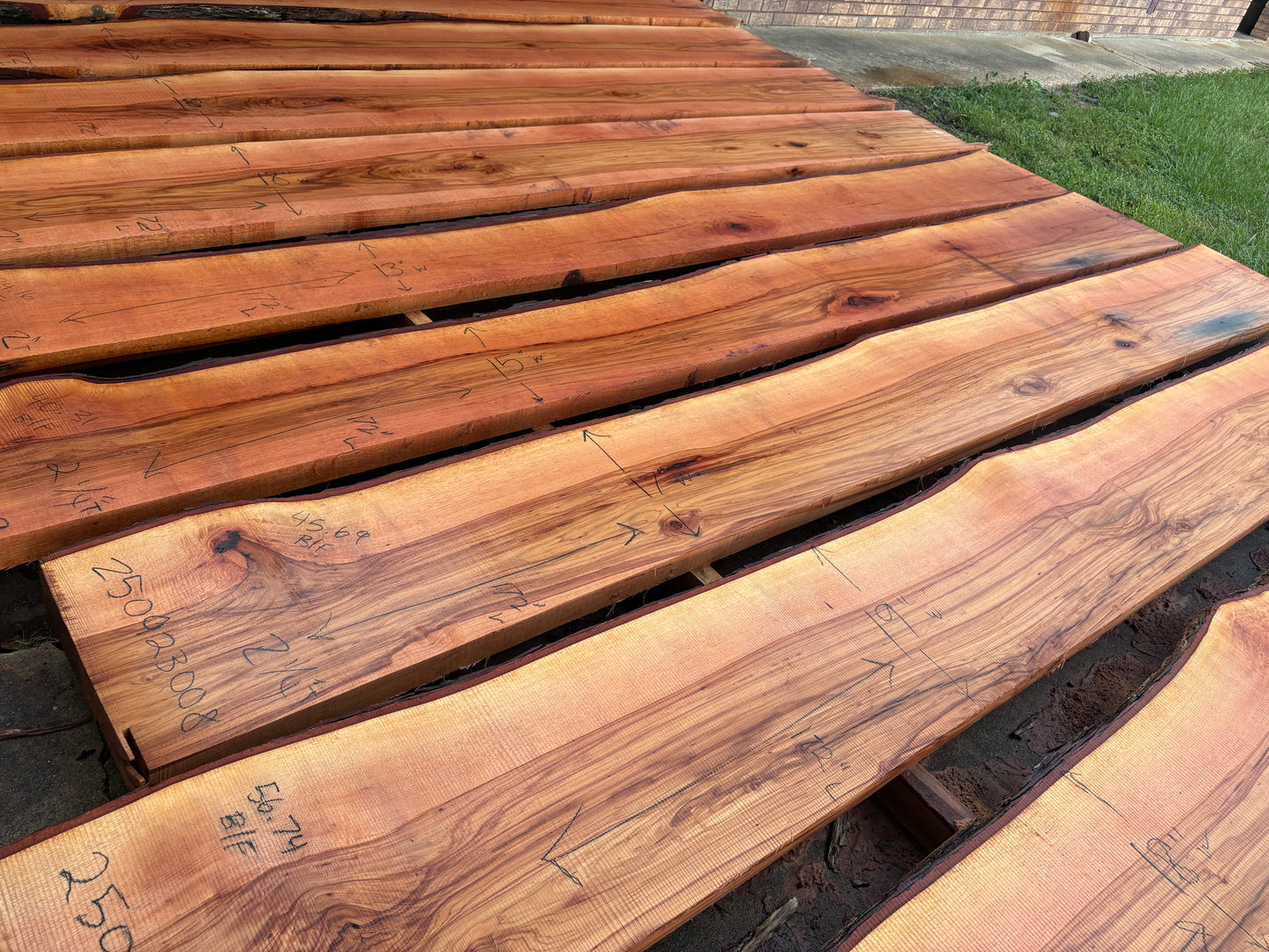 Pecan Wood Slab250923008