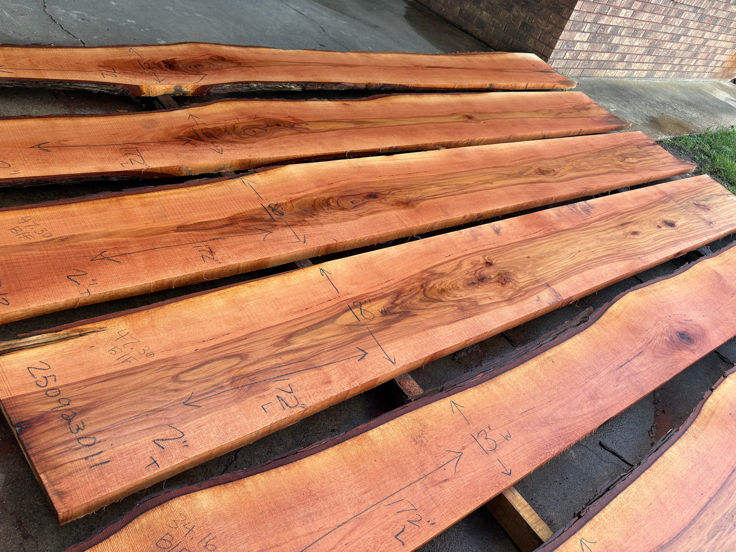 Pecan Wood Slab 250923011