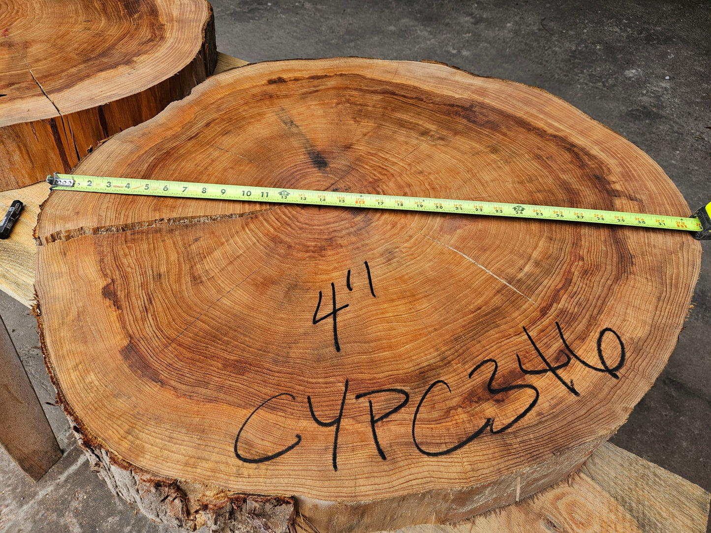 Cypress Cookie CYPC346