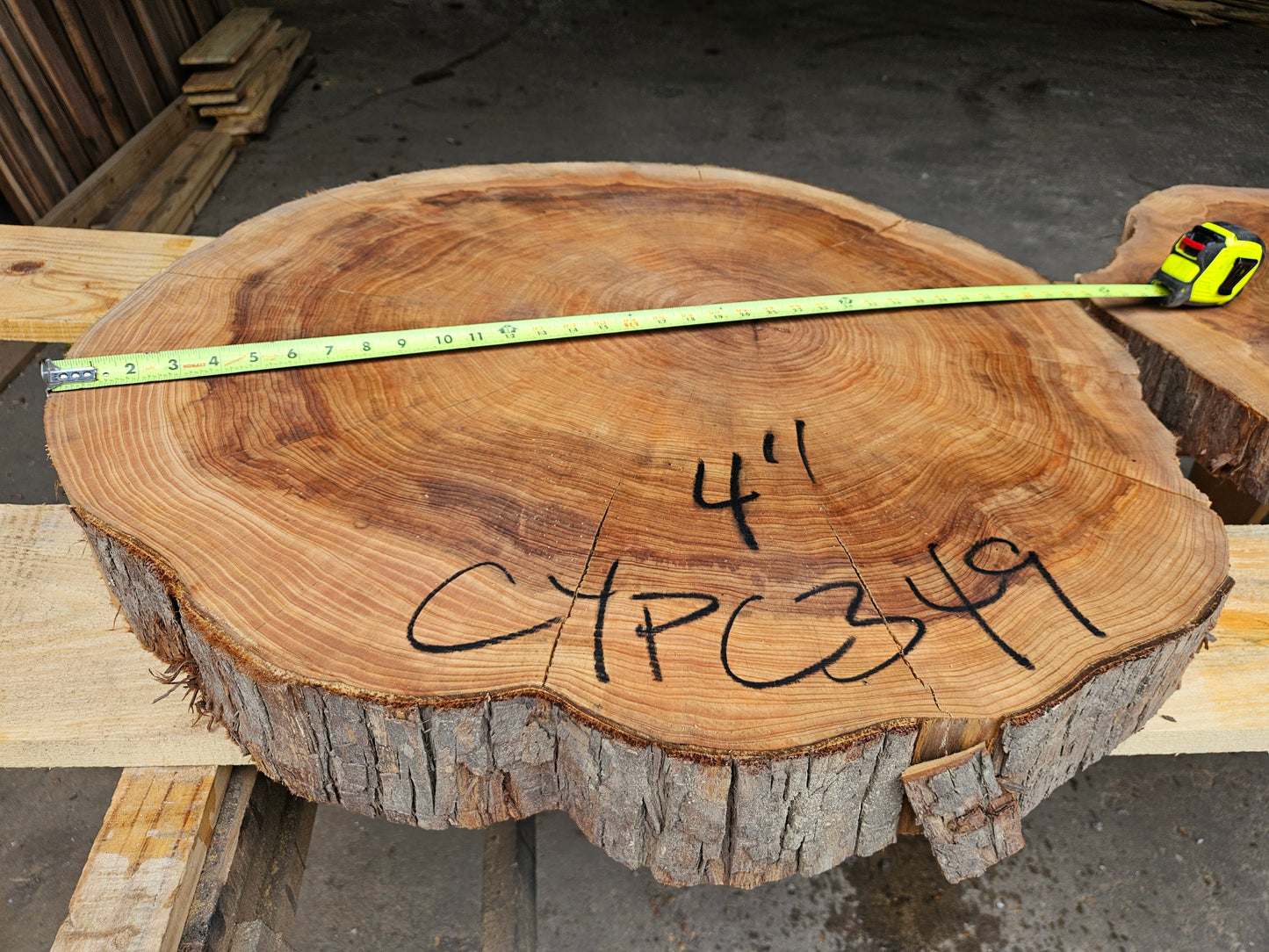 Cypress Cookie CYPC349