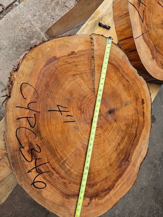 Cypress Cookie CYPC346