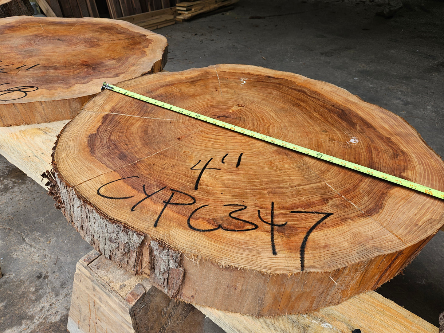 Cypress Cookie CYPC347