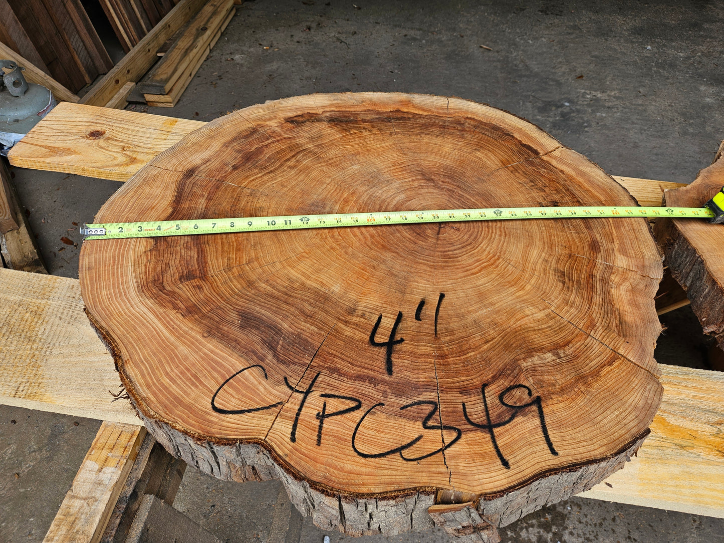 Cypress Cookie CYPC349