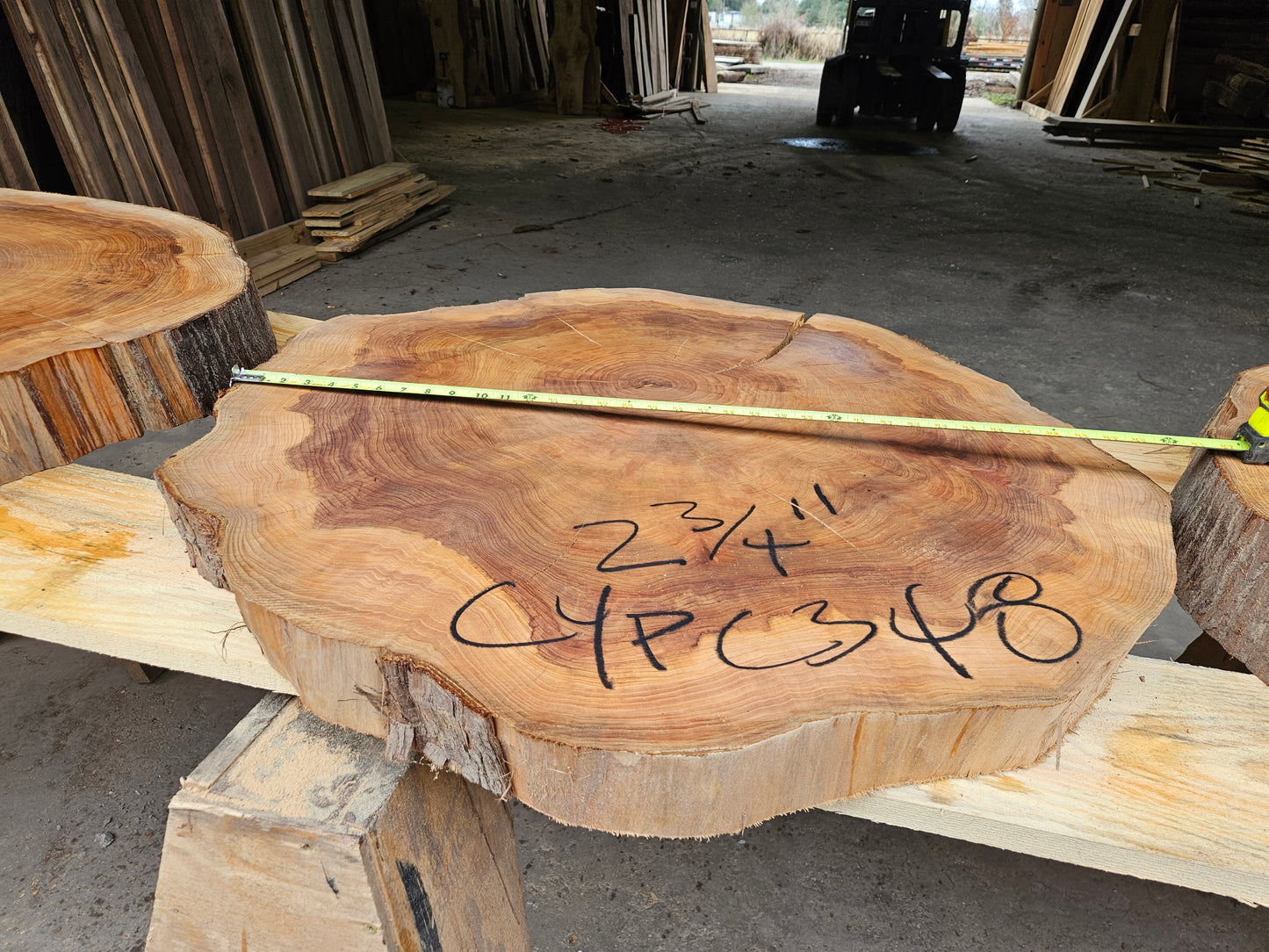 Cypress Cookie CYPC348
